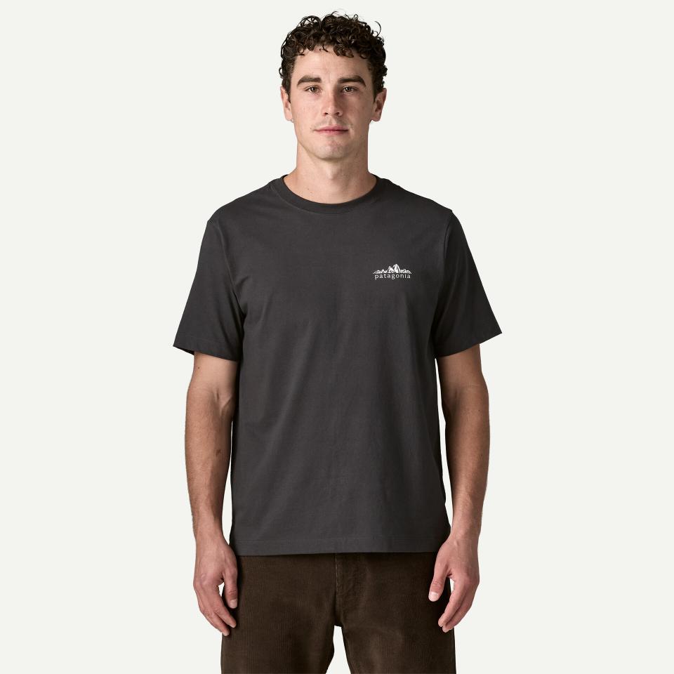 Patagonia Men's Fitz Roy Foothills T-Shirt Ink Black