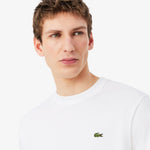 Lacoste T-shirt in Cotone