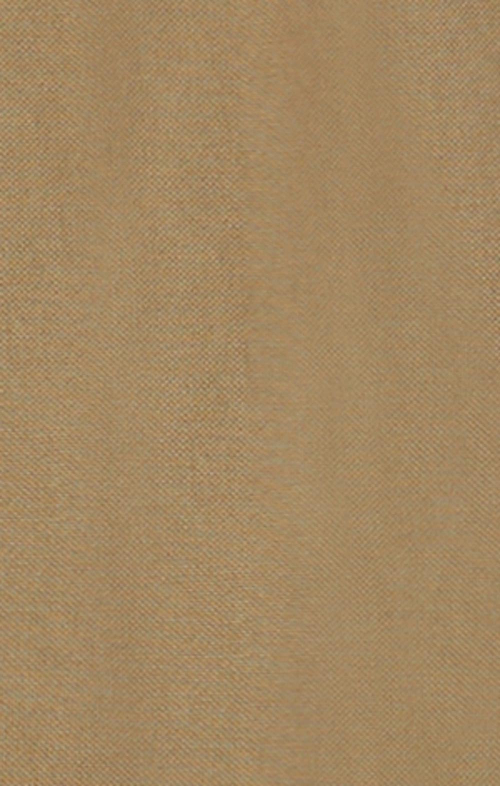 Champion Pantaloni Cargo Reverse Weave Beige