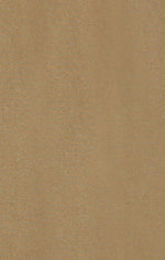 Champion Pantaloni Cargo Reverse Weave Beige