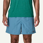 Patagonia Baggies Shorts 5"