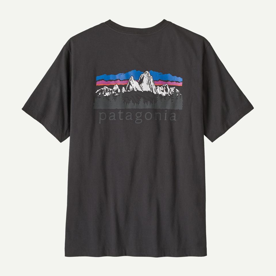 Patagonia Men's Fitz Roy Foothills T-Shirt Ink Black