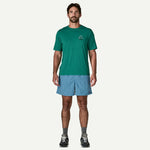 Patagonia Baggies Shorts 5"
