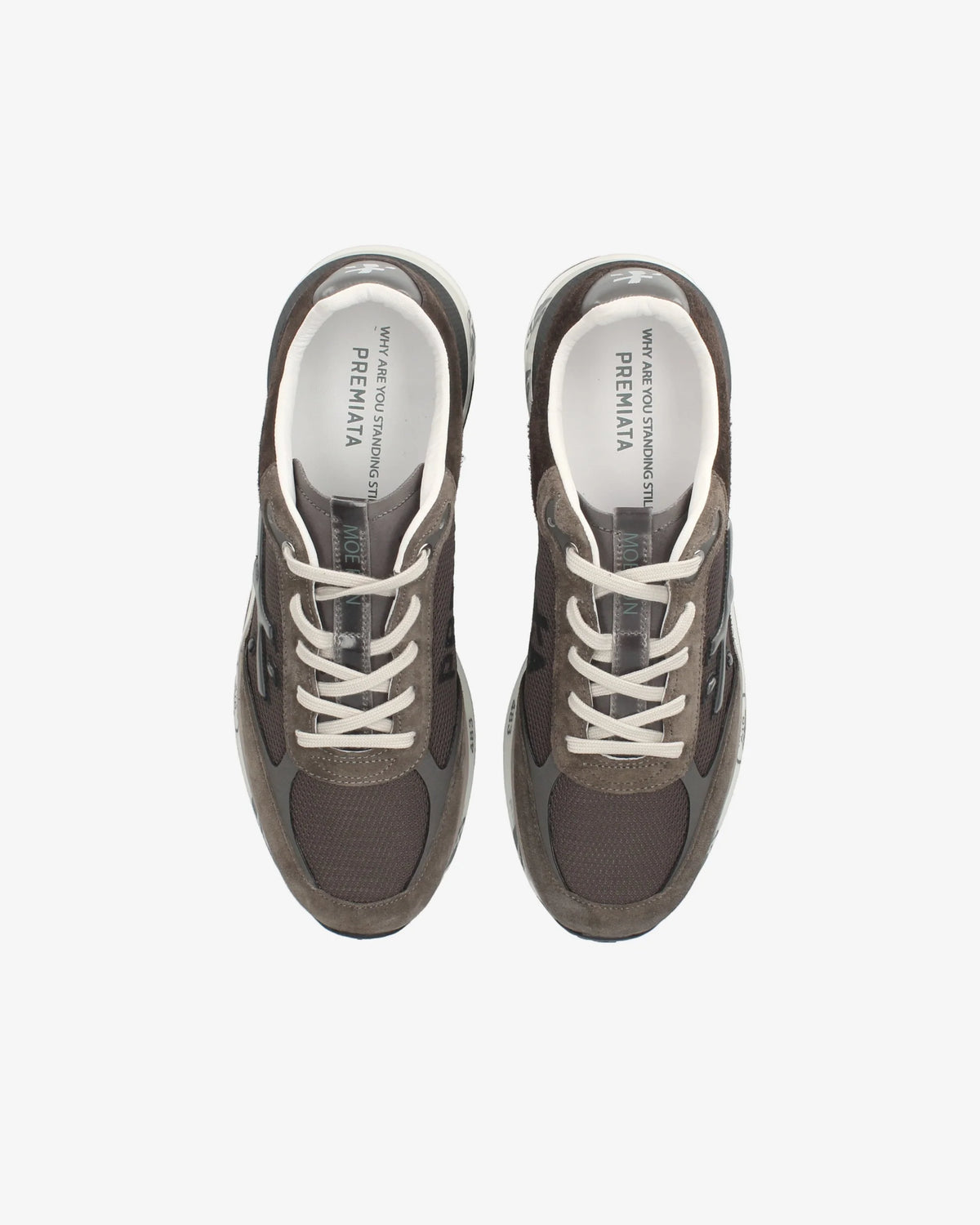 Premiata Moerun 6446