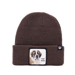 Goorin Bros Brown Top Dog