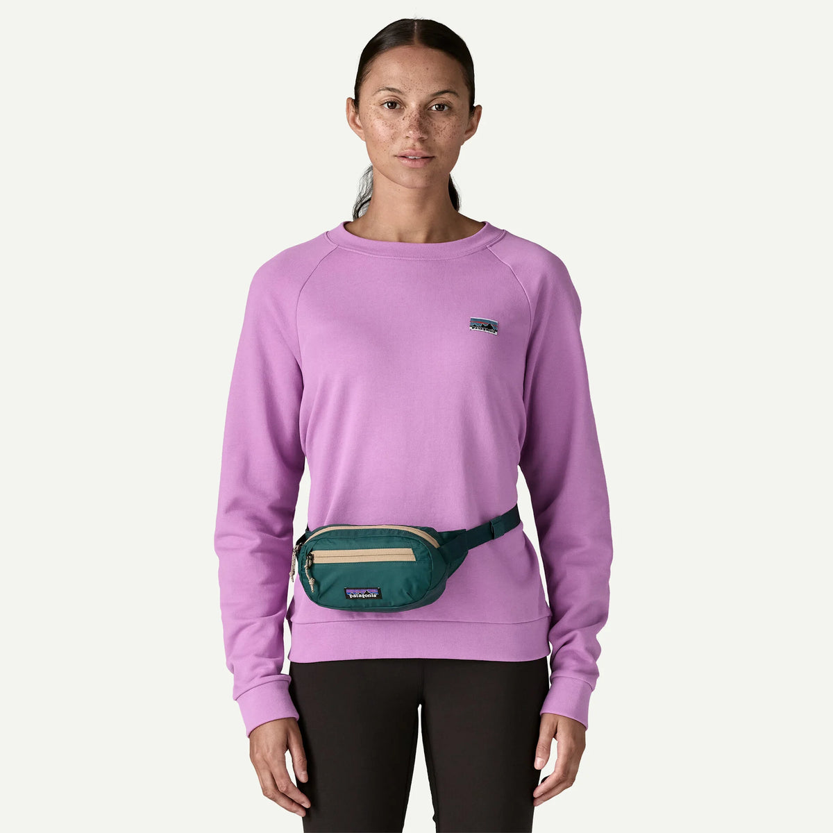 Patagonia Terravia Mini Hip Pack 1L