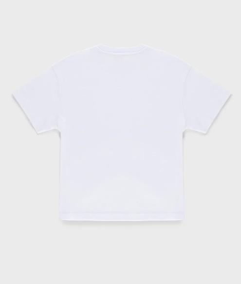 Refrigiwear Dublin T-shirt