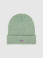 Dickies Berretto Gibsland unisex