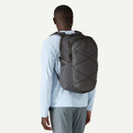 Patagonia Refugio Daypack 30L