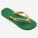 Havaianas Brasil Logo