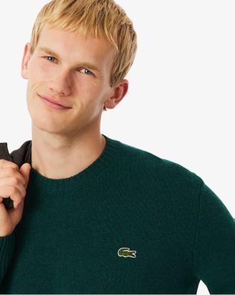 Lacoste MaglioneGirocollo in Lana