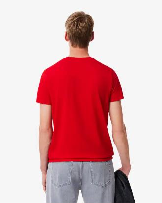 Lacoste T-shirt in Cotone Pima