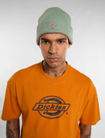 Dickies Berretto Gibsland unisex