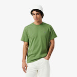Lacoste T-shirt in Cotone