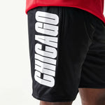 New Era Shorts in MeshChicago Bulls NBA
