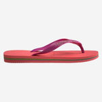 Havaianas Brasil Logo