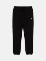 Dickies Pantaloni Tuta Mapleton